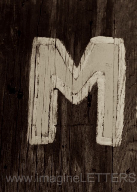 Wall_Art_Alphabet_Photography_Art_ 1422.jpg